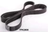 ASHIKA 112-7PK2000 V-Ribbed Belts